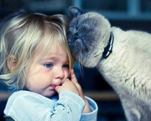 Как на ребенка влияет общение с котами