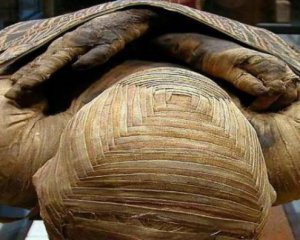 Археологи нашли на мумии древнейшие татуировки