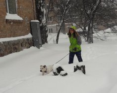 На вихідних Україну далі накриватимуть снігопади