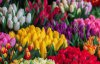 Скільки коштуватимуть квіти на 8 березня