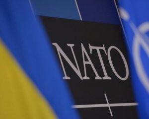 Украина поплатится суверенитетом за вступление в НАТО и ЕС - эксперт