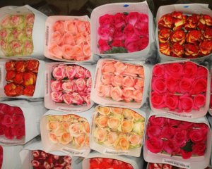 Посчитали, сколько цветов завозят в Украину