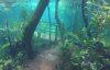 Повінь у Бразилії: тропічний заповідник перетворився на акваріум