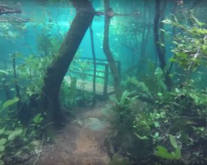Наводнение в Бразилии: тропический заповедник превратился в аквариум