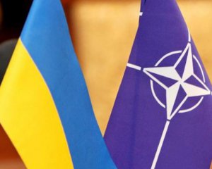 Украина стала страной-аспирантом НАТО