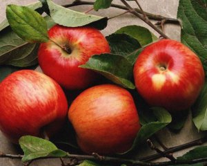 Вчені створили новий продукт із зіпсованих яблук