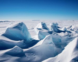 Обнаружили интересную находку под талым льдом в Антарктиде