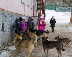 Зграя собак пошматувала 6-річну дівчинку