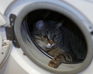 Вибираємо пральну машину - як не помилитися?