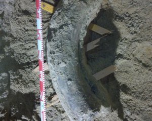 На строительстве метро нашли доисторических существ