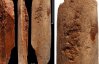 Нашли инструменты из кости, которым более 100 тыс. лет