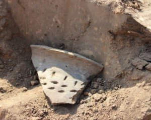 На территории казацкой Сечи обнаружили скифский могильник