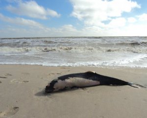 "Донбас потрібно буде відселяти" - розповіли про екологічну катастрофу