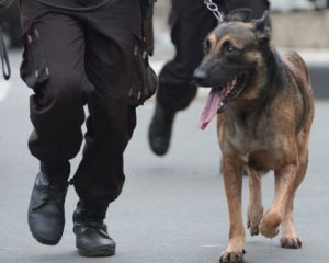 Для поліцейських собак встановлять кондиціонери і увімкнуть Моцарта