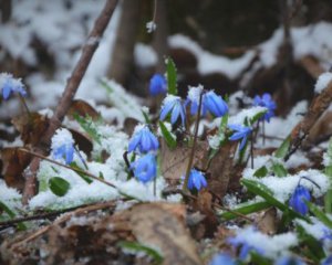 Прогноз погоди на 30 березня: +15 та сніг