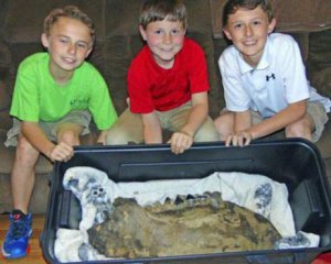 Діти на прогулянці знайшли щелепу доісторичної істоти