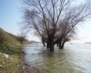 Дунай может затопить украинский поселок и порт