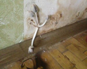 Коммунальный апокалипсис: в квартире киевлянки на стене выросли грибы