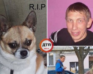 У Києві чоловік викинув собаку з 9 поверху