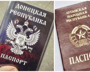 &quot;Такой страны не знаем&quot; - пограничники не пускают в Россию с паспортами &quot;респубик&quot;