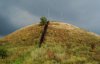 Найбільший скіфський курган України розкопали "чорні археологи"