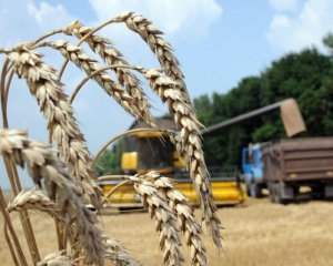 Експорт аграрної продукції з України перевищив $1 млрд