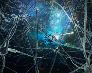 Обнаружили новое свойство клеток мозга