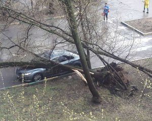 Ураган в Москве: погибла 13-летняя девочка