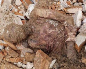 Мумию иранского шаха нашли во время реконструкции мемориала