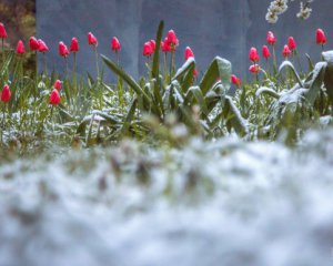 На вихідних Україну очікують заморозки