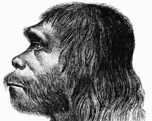 Вчені розповіли про особливості мозку неандертальців
