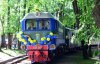 Во Львове заработала железная дорога, которой руководят дети