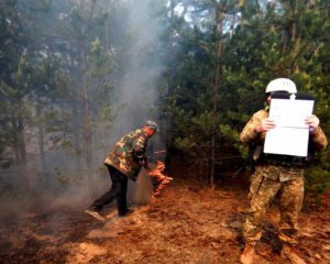 Бойовики обстріляли Луганщину: загорілося 15 га лісу