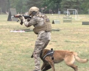 Для спецпідрозділу "Корд" підготували собак-штурмовиків