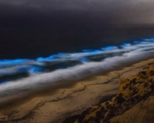 Пляж у США засяяв неоновим світлом