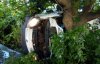Мікроавтобус врізався у дерево: п'ятеро загиблих
