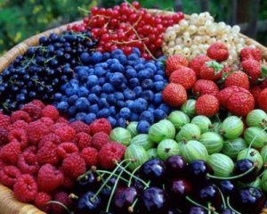 Украинцам обещают недешевый сезон ягод