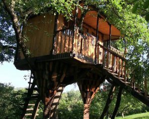 На &quot;куриных лапах&quot;: мужчина смастерил необычный дом на дереве