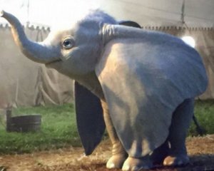 Показали перші кадри фентезі про казкове слоненя Дамбо