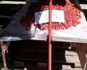 Баклажаны по 140 рублей - показали цены на базарах ЛНР