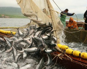Россия отобрала в Украины большинство рыболовных ресурсов в Черном море