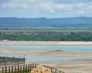 &quot;Жалкая лужа&quot; - владелец зоопарка из Крыма рассказал о проблемах с водой