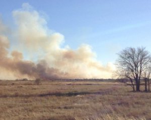 У ДНР згоріла унікальна пам&#039;ятка природи