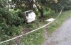 Сім'я на мікроавтобусі влетіла в дерево: батько загинув, діти в лікарні