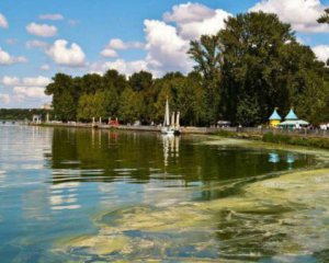 Засудили чоловіка, який   вбив знайому  на першому побаченні