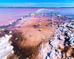 Украинский &quot;мертвое море&quot; исчезает: как спасти уникальный лиман