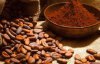 Рассказали о необычном использования какао-бобов племенами майя