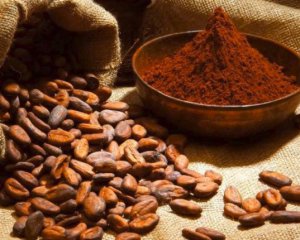 Розповіли про незвичне використання какао-бобів племенами майя