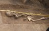 Учені розкопали загадкову могилу чаклунки з ІІІ століття