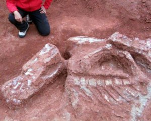 Ученые нашли скелет первого динозавра-гиганта